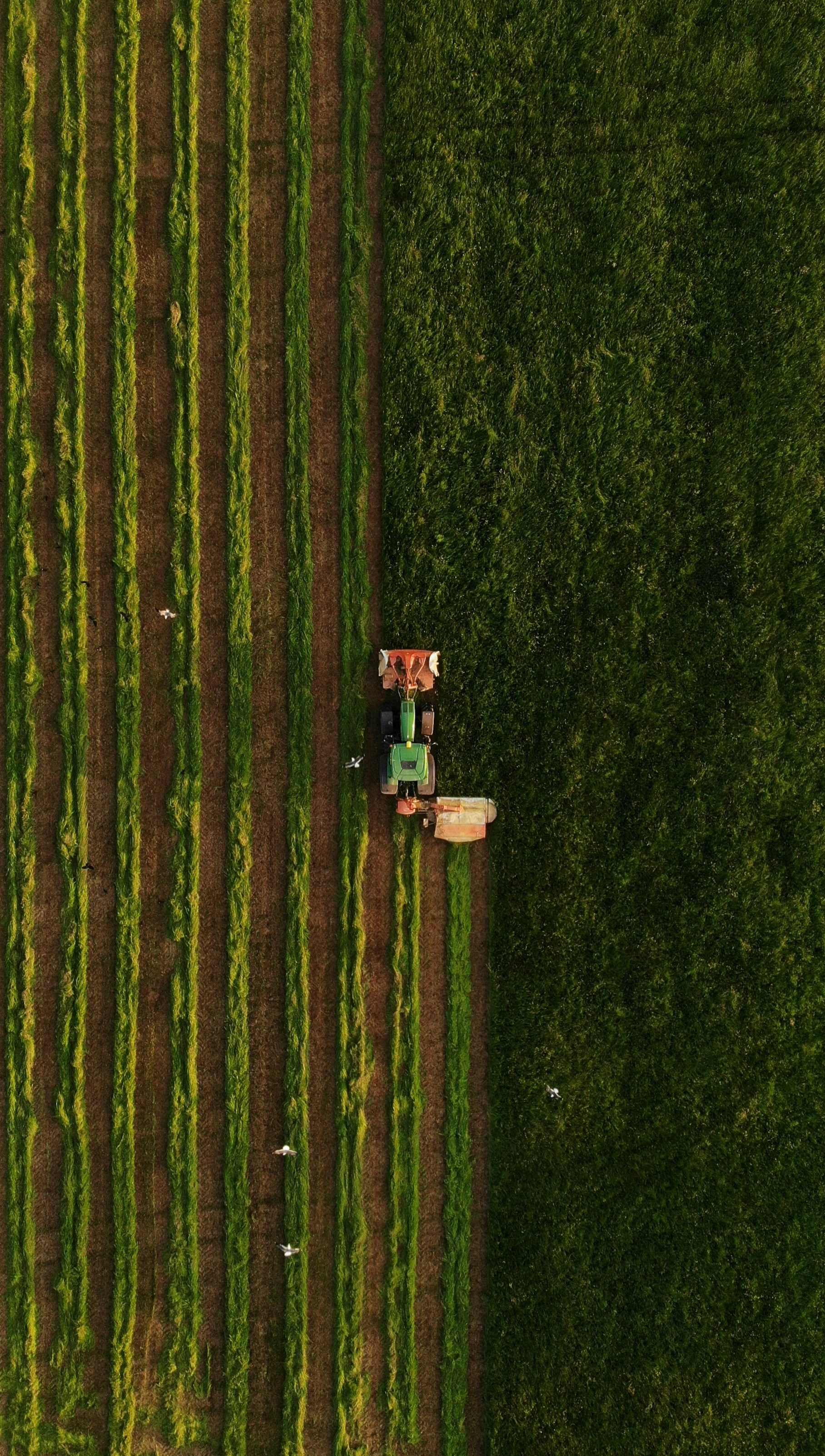 Agriculture Project 1