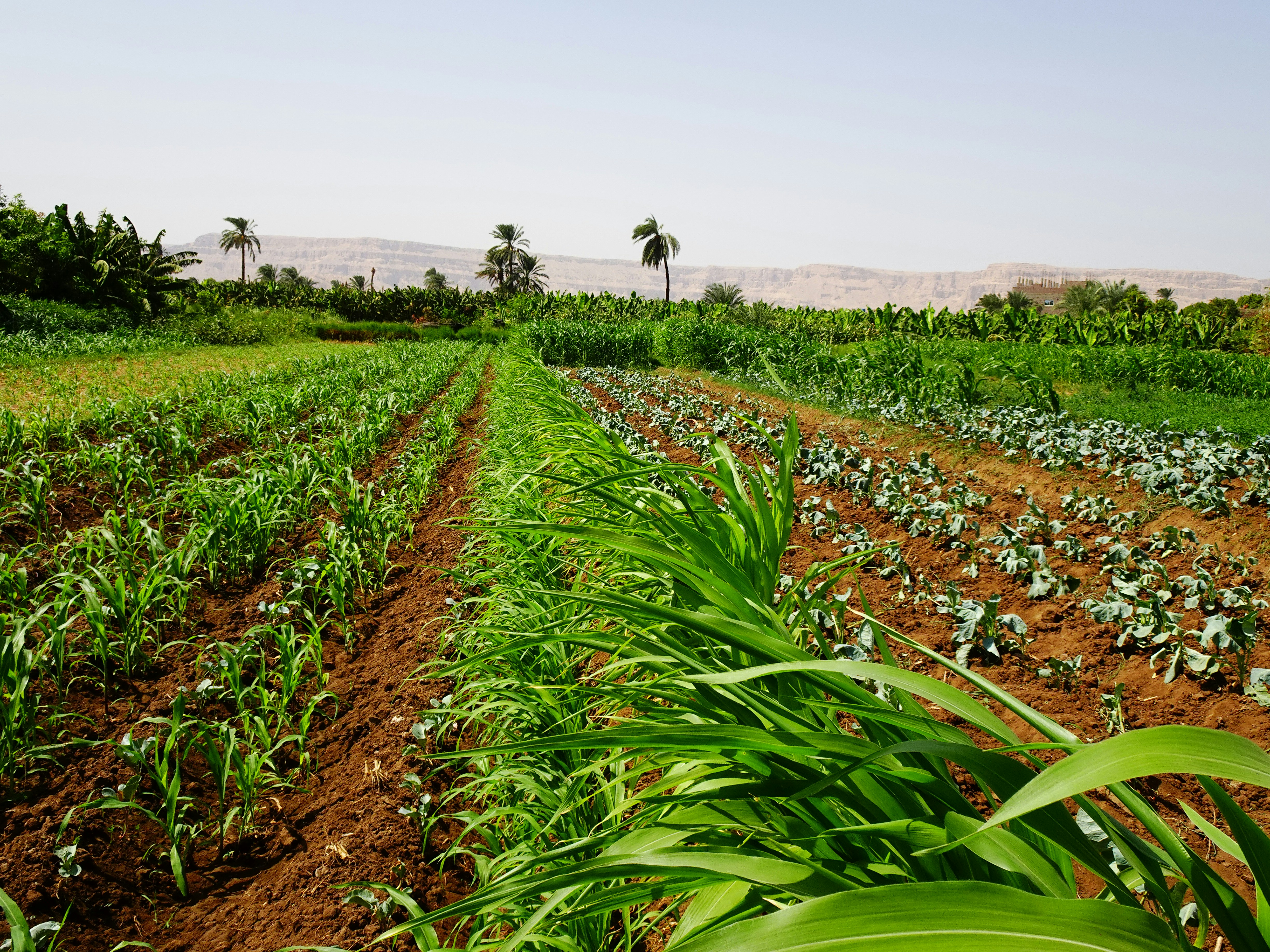 Agriculture Solutions
